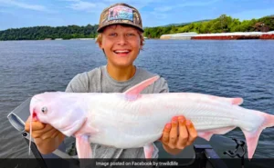 Boy Catches white fish