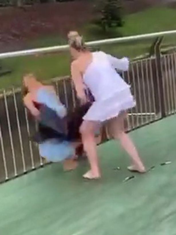 Spring Racing Carnival Fight Video