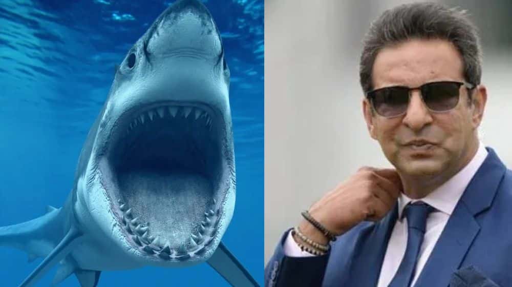 Wasim Akram Shark Attack