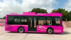 Pink Bus Service