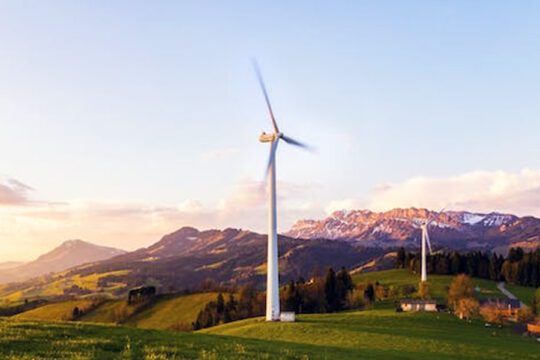 Renewable Energy Sector