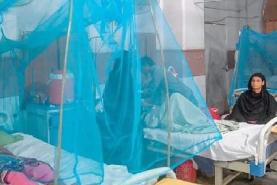 High-Risk Dengue Zones
